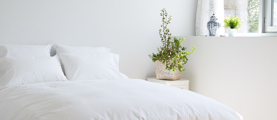 ZayZay-White-Snow-duvet-cover-quality-bed-linen-in-white-room-with-green-plant