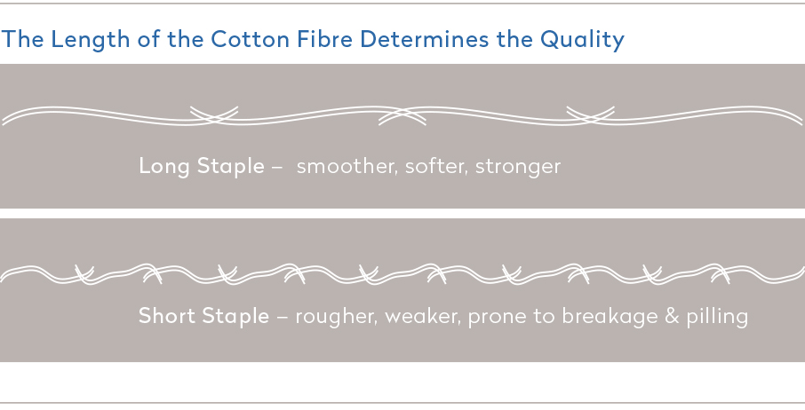 Length-of-cotton-fibre-determines-quality