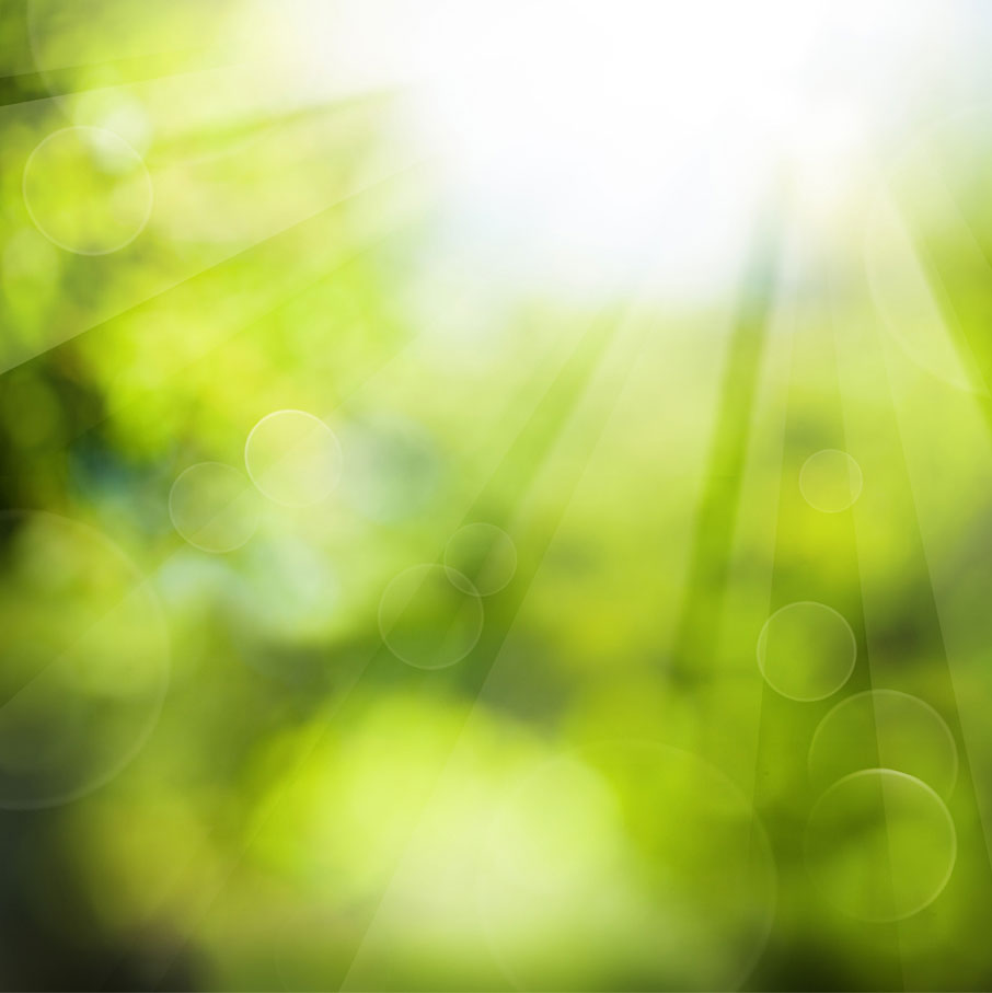 Out-of-focus-sunlight-beaming-through-green-trees